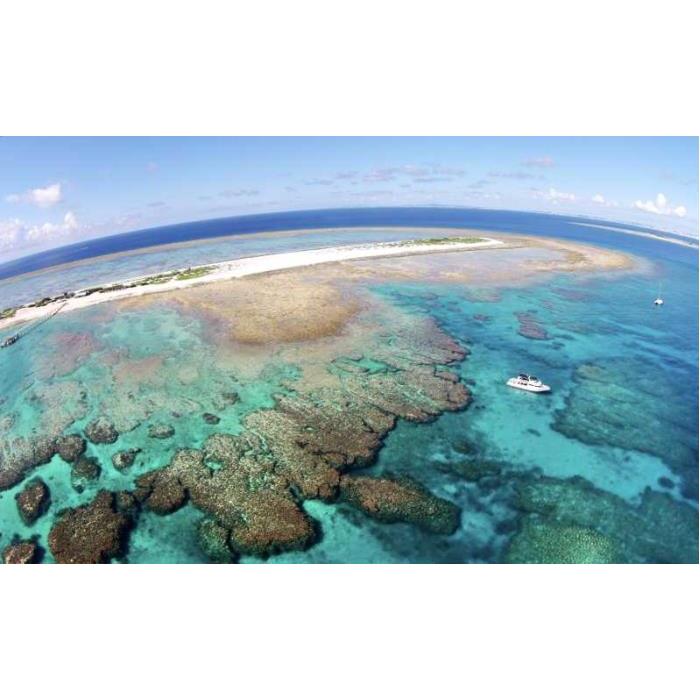 일본 오키나와 나하: 케라마스 섬 스노클링 당일 여행 점심 포함 (한국어 가이드) 이미지 3