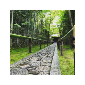 일본 교토: 3시간 사이클링 투어 솔직 후기 | 실사용자 리뷰 분석 - 상품 이미지 4