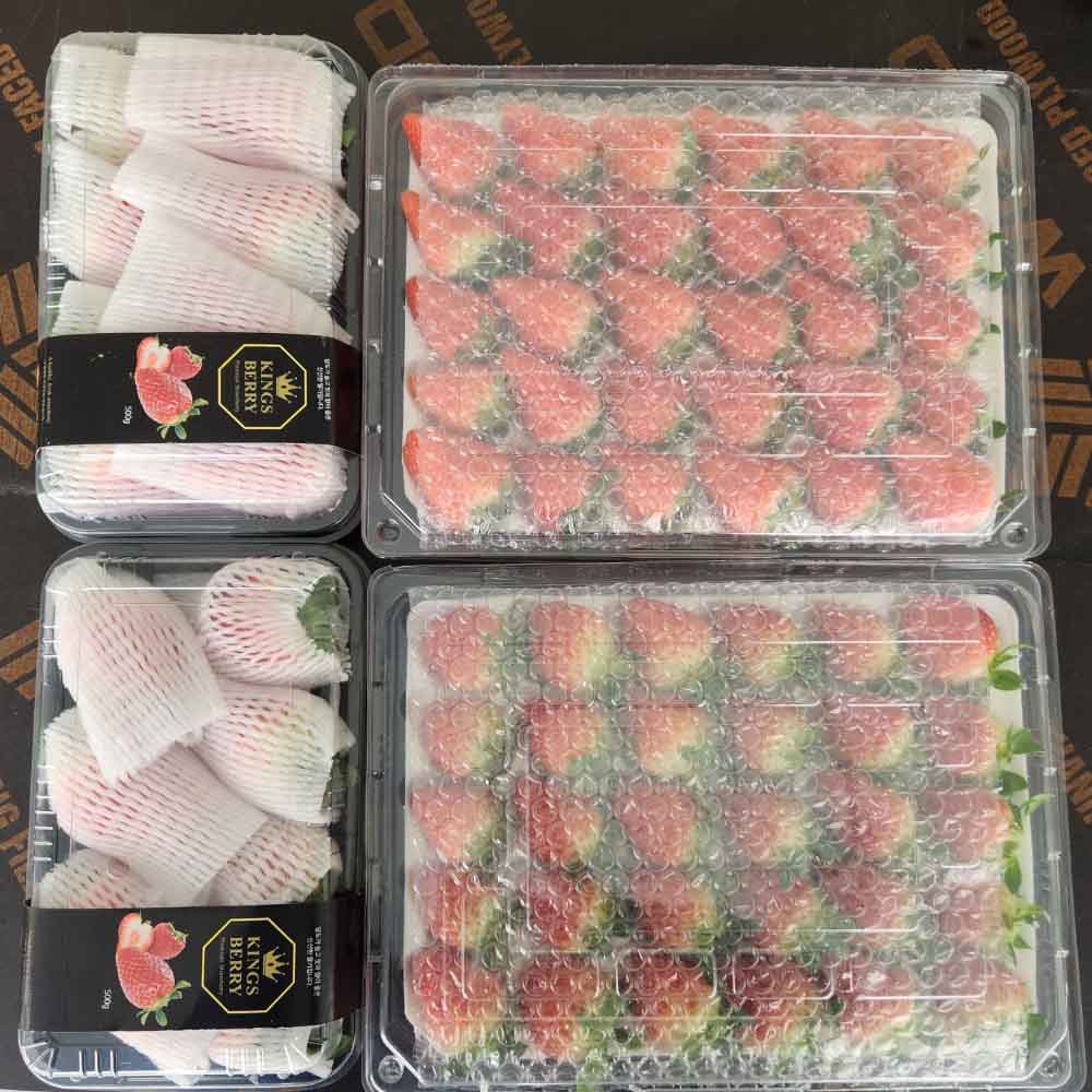 첫수확 새콤달콤 제철 논산 설향딸기 350g / 700g 난좌포장 - 상세 이미지 5