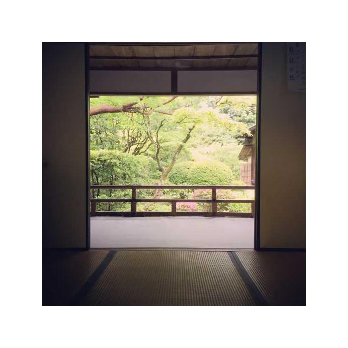 일본 교토: 3시간 사이클링 투어 이미지 3