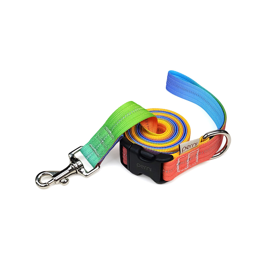 페르니 반사형 강아지 핸즈프리 리드줄 반려견 멀티 산책줄 2M 레인보우팝 국산 제품 이미지