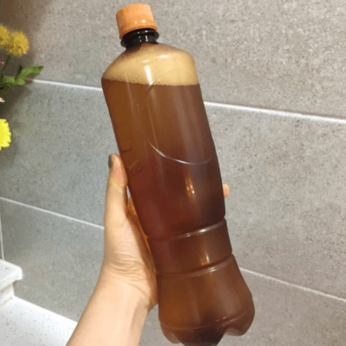 남양 생맥주용기 호프용기 페트 1000cc 50개 BOX - 메인 이미지
