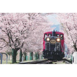 일본 교토 : 사가노 기차 및 점심 식사와 함께 당일 치기 관광 솔직 후기 | 실사용자 리뷰 분석 - 상품 이미지 1