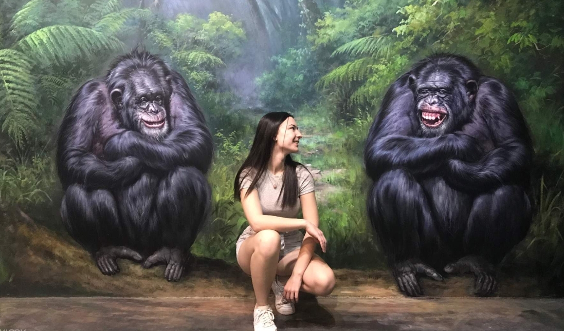 호주 멜버른 아트보 3D 체험 입장권 이미지 4