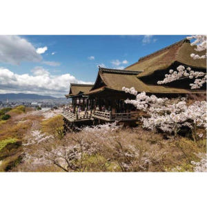 일본 교토: 최고의 하이라이트 하루 종일 여행 솔직 후기 | 실사용자 리뷰 분석 - 상품 이미지 2