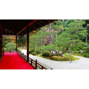 일본 교토: 일본 정원 개인 맞춤형 투어 솔직 후기 | 실사용자 리뷰 분석 - 상품 이미지 2