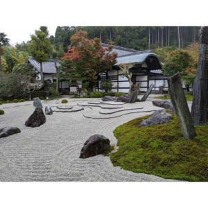 일본 교토: 일본 정원 개인 맞춤형 투어 솔직 후기 | 실사용자 리뷰 분석 - 상품 이미지 3