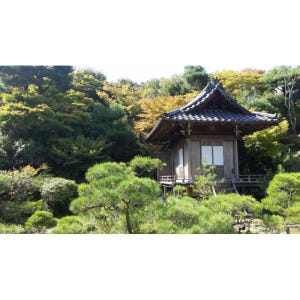 일본 오사카에서 : 교토까지 개인 하루 종일 투어 솔직 후기 | 실사용자 리뷰 분석 - 상품 이미지 4