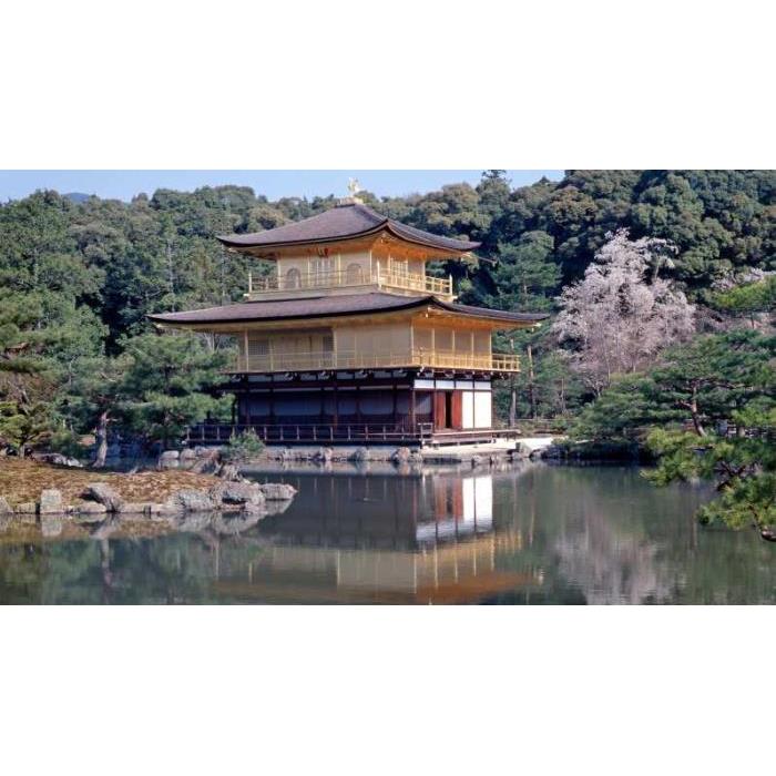 일본 교토: 최고의 하이라이트 하루 종일 여행 이미지 3