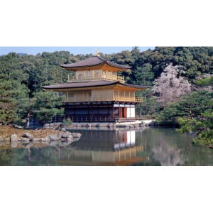 일본 교토: 최고의 하이라이트 하루 종일 여행 솔직 후기 | 실사용자 리뷰 분석 - 상품 이미지 3