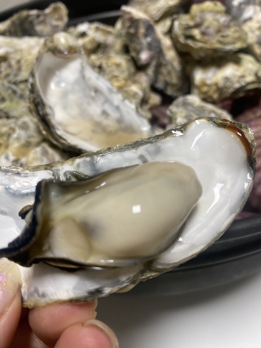 직접키워 더 신선한 최상급 각굴, 깐굴1kg - 상세 이미지 4