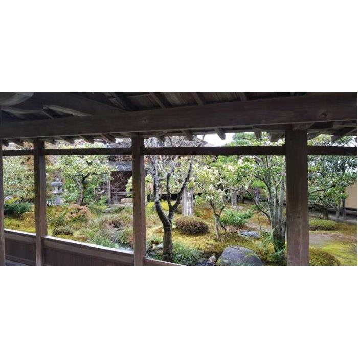 일본 오사카에서 : 교토까지 개인 하루 종일 투어 이미지 2