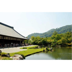 일본 오사카에서 : 교토까지 개인 하루 종일 투어 솔직 후기 | 실사용자 리뷰 분석 - 상품 이미지 3