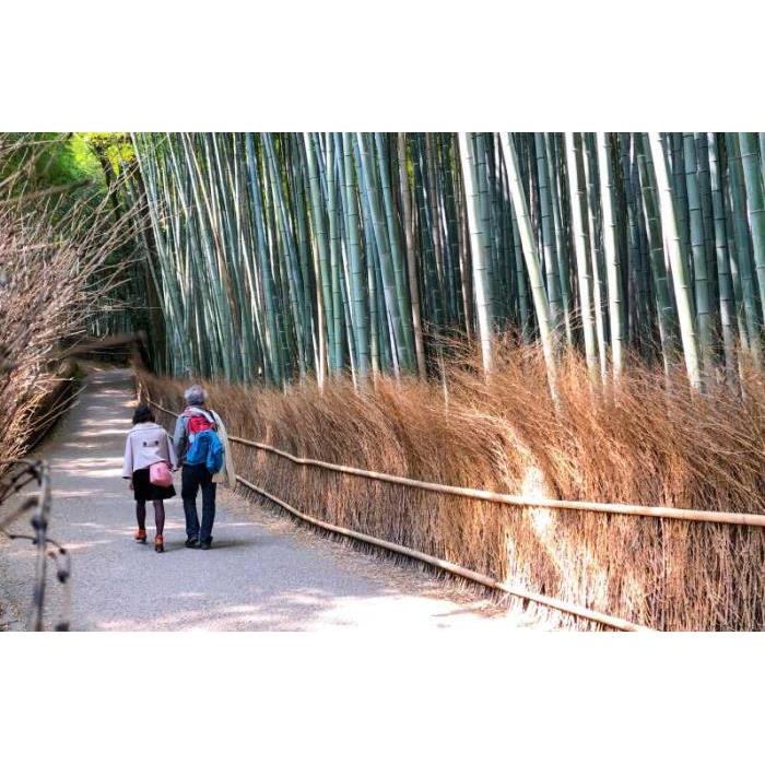 일본 교토 : 사가노 기차 및 점심 식사와 함께 당일 치기 관광 이미지 3