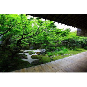 일본 교토: 일본 정원 개인 맞춤형 투어 솔직 후기 | 실사용자 리뷰 분석 - 상품 이미지 4