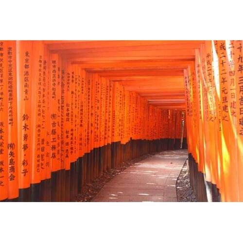 일본 오사카에서 : 교토까지 개인 하루 종일 투어 솔직 후기 | 실사용자 리뷰 분석 - 대표 이미지