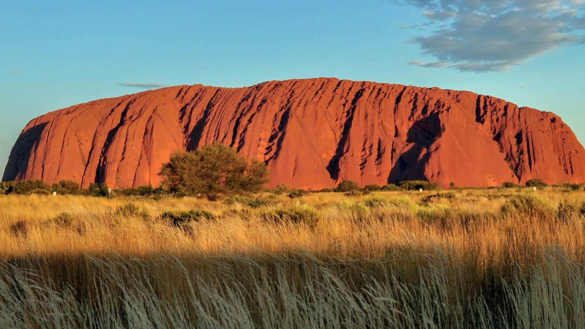 호주   다윈 울룰루 선셋 | 노던 테리토리 솔직 후기 | 실사용자 리뷰 분석 - 대표 이미지