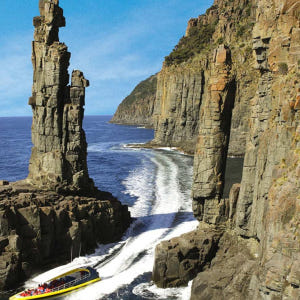 호주 태즈매니아 호바트 출발 브루니 아일랜드 야생 크루즈 일일 투어 솔직 후기 | 실사용자 리뷰 분석 - 상품 이미지 2