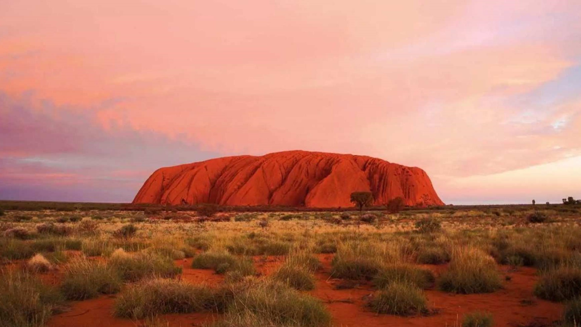 호주   다윈 울룰루 선셋 | 노던 테리토리 이미지 4