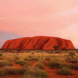 호주   다윈 울룰루 선셋 | 노던 테리토리 솔직 후기 | 실사용자 리뷰 분석 - 상품 이미지 4