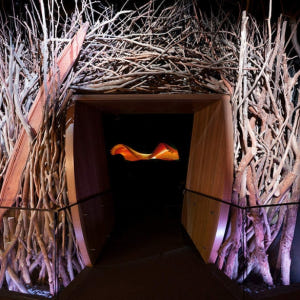 호주 멜버른 박물관 입장권 솔직 후기 | 실사용자 리뷰 분석 - 상품 이미지 2