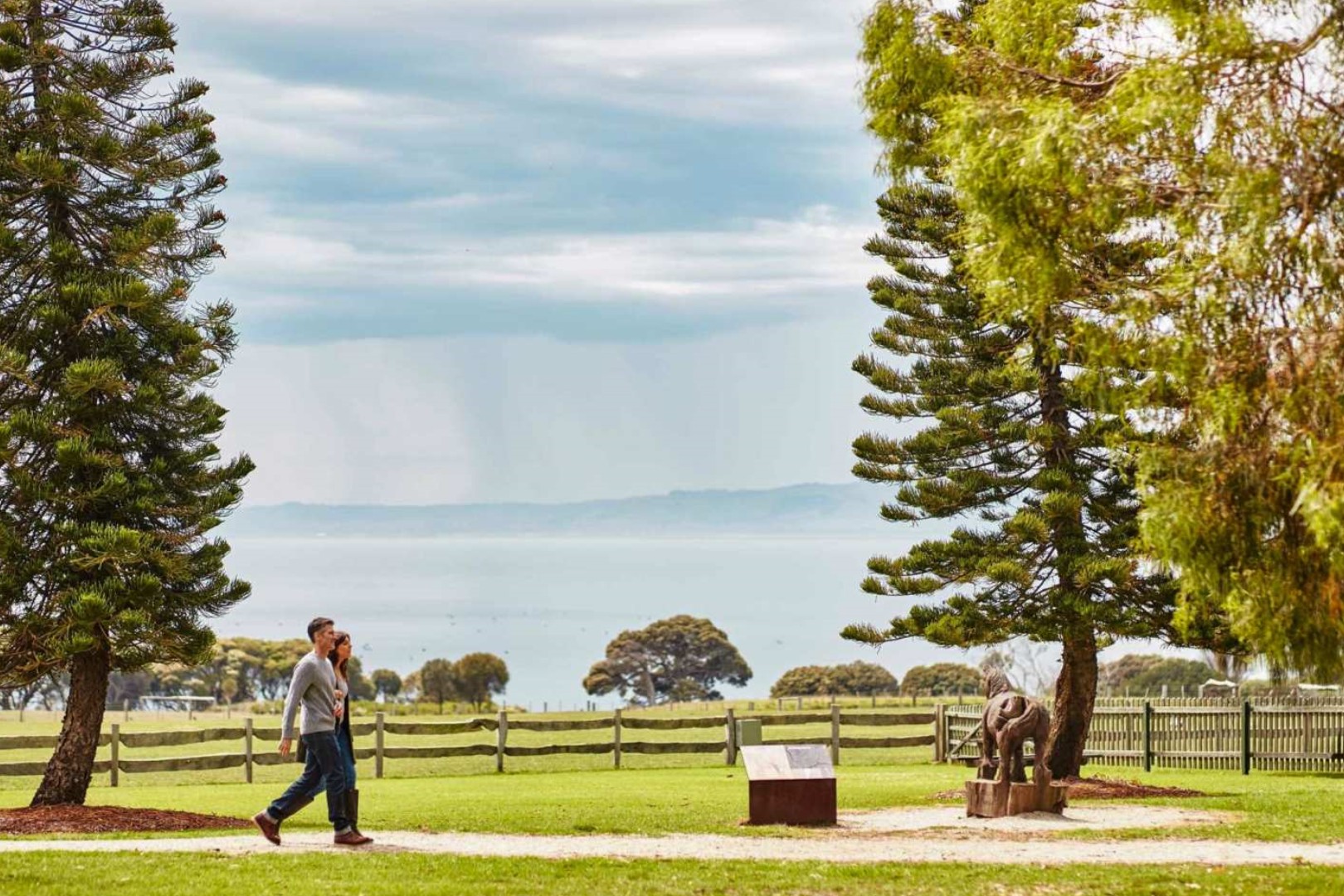 호주 멜버른 필립 아일랜드 네이처 파크 콤보 티켓 이미지 4