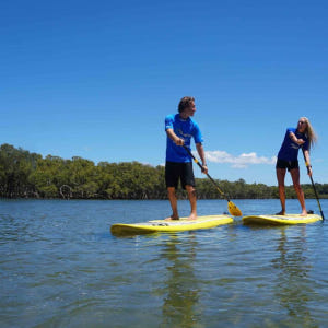 호주 바이런 베이 스탠드업 패들 솔직 후기 | 실사용자 리뷰 분석 - 상품 이미지 4