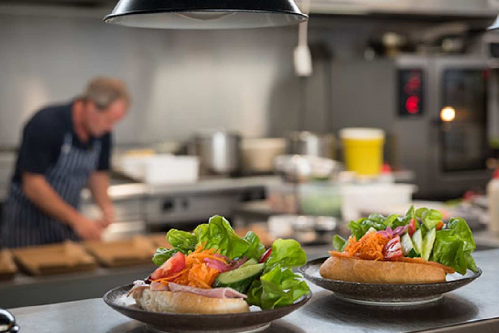 호주 태즈매니아 호바트 출발 브루니 아일랜드 야생 크루즈 일일 투어 이미지 4