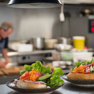 호주 태즈매니아 호바트 출발 브루니 아일랜드 야생 크루즈 일일 투어 솔직 후기 | 실사용자 리뷰 분석 - 상품 이미지 4