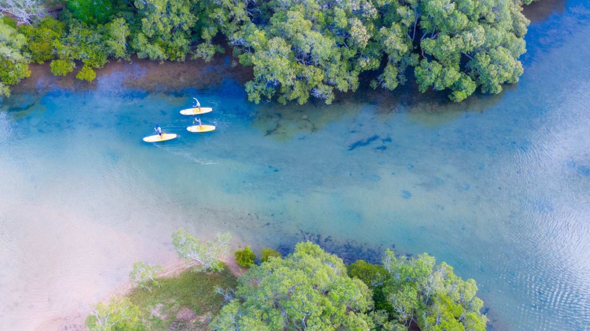 호주 바이런 베이 스탠드업 패들 이미지 3
