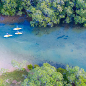 호주 바이런 베이 스탠드업 패들 솔직 후기 | 실사용자 리뷰 분석 - 상품 이미지 3