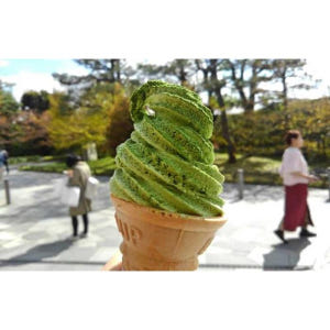 일본 교토 말차 투어 솔직 후기 | 실사용자 리뷰 분석 - 상품 이미지 4