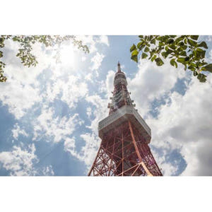 일본 도쿄: 자유로운 승하차가 가능한 관광 버스 티켓(Hop-On Hop... 솔직 후기 | 실사용자 리뷰 분석 - 상품 이미지 4