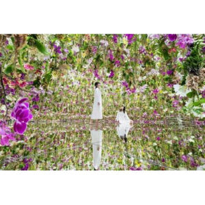 일본 도쿄 팀랩 플래닛 도쿄: 디지털 아트 뮤지엄 입장권 솔직 후기 | 실사용자 리뷰 분석 - 상품 이미지 1