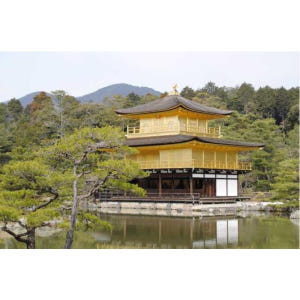 일본 교토: 개인 가이드 개인 투어 솔직 후기 | 실사용자 리뷰 분석 - 상품 이미지 3