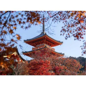 일본 교토: 개인 가이드 개인 투어 솔직 후기 | 실사용자 리뷰 분석 - 상품 이미지 1