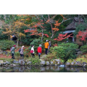 일본 교토 또는 오사카에서 : 나라를 통한 개인 도보 여행 솔직 후기 | 실사용자 리뷰 분석 - 상품 이미지 1