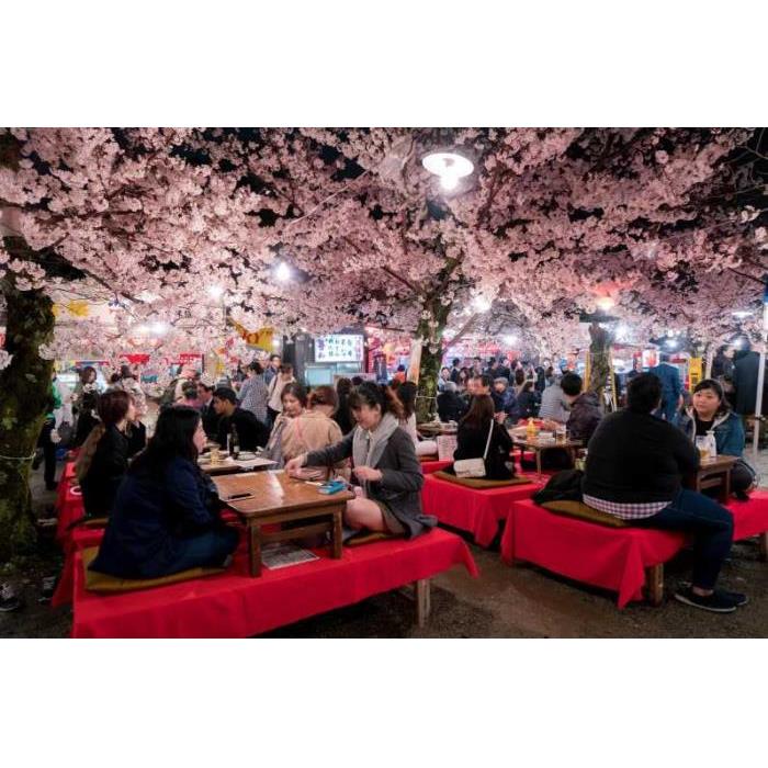 일본 교토 : 지역 가이드와 함께하는 이자카야 음식 투어 이미지 3