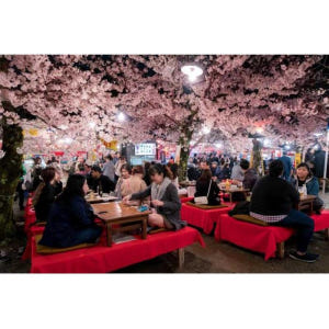 일본 교토 : 지역 가이드와 함께하는 이자카야 음식 투어 솔직 후기 | 실사용자 리뷰 분석 - 상품 이미지 3