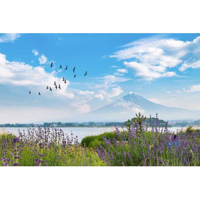 일본 도쿄에서 출발: 자동차로 후지산 프라이빗 1일 투어 이미지 2