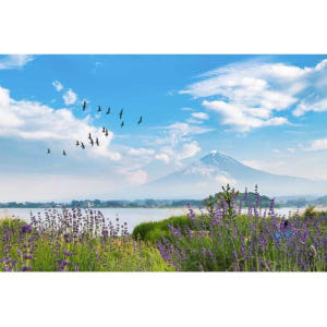 일본 도쿄에서 출발: 자동차로 후지산 프라이빗 1일 투어 솔직 후기 | 실사용자 리뷰 분석 - 상품 이미지 2