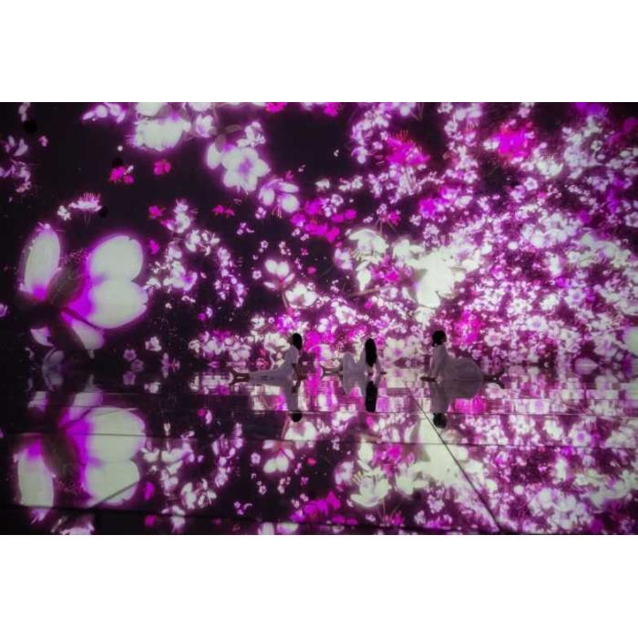 일본 도쿄 팀랩 플래닛 도쿄: 디지털 아트 뮤지엄 입장권 이미지 2