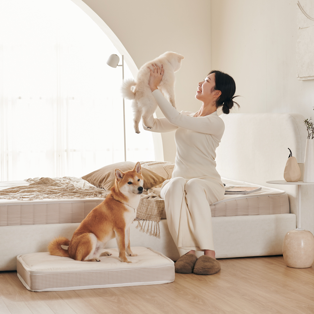 (방수커버 포함) 꽁떼떼 강아지 침대 매트리스 쿠션 강아지집 미니포켓 S사이즈