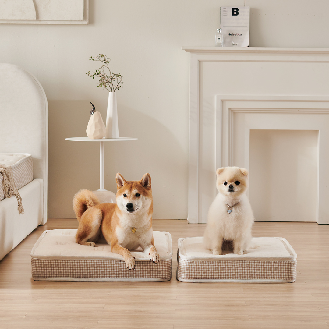 [꽁떼떼] (커버증정) 미니포켓 강아지 침대 매트리스 애견 쿠션 S/M