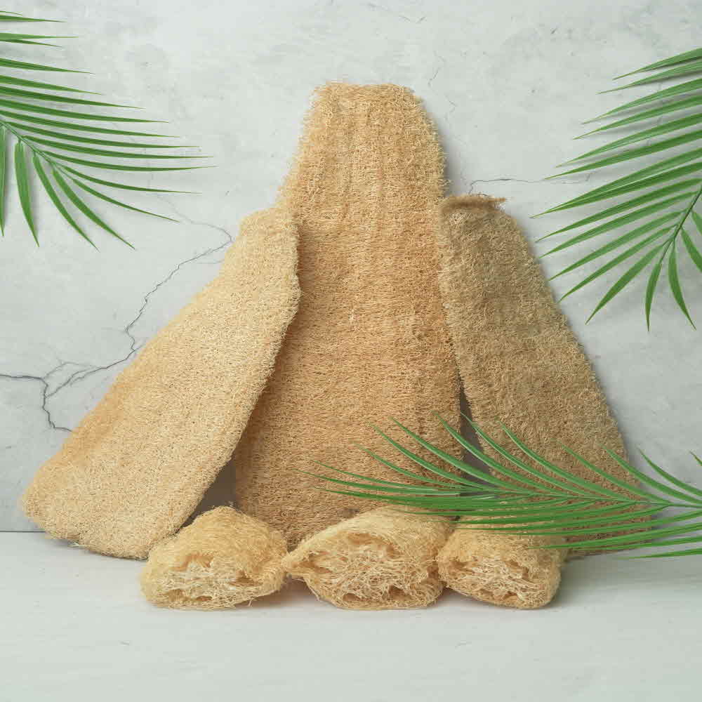 지구오필리아 루파 열매 수세미 주방수세미 30~40cm - 상품 이미지