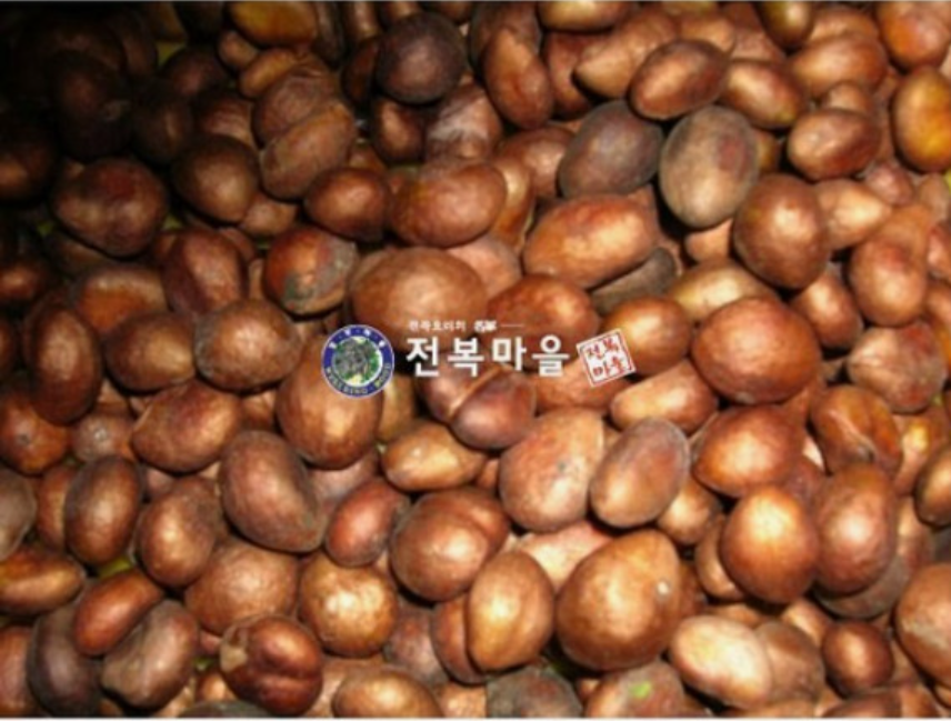 비파씨가루 비파씨분말 100g 비파나무 - 상세 이미지 3