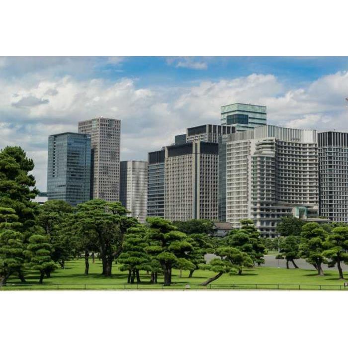 일본 도쿄: 자동차로 개인 맞춤형 1일 투어 이미지 4