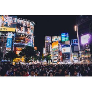 일본 도쿄: 자동차로 개인 맞춤형 1일 투어 솔직 후기 | 실사용자 리뷰 분석 - 상품 이미지 3