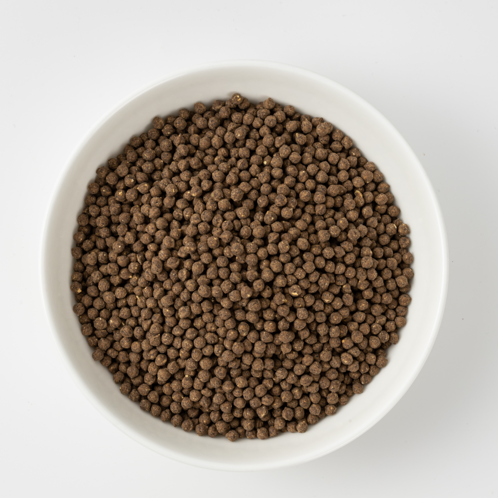 산촌마을 우슬 쥐눈이콩 청국장환 250g 6+2통(4개월분)발효환 류마티스 관절무릎 부모님 - 상세 이미지 5