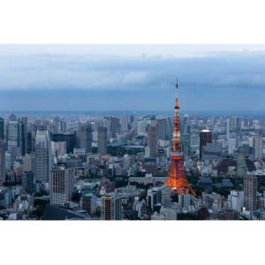 일본 도쿄: 자동차로 개인 맞춤형 1일 투어 솔직 후기 | 실사용자 리뷰 분석 - 상품 이미지 2